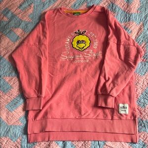 2016 PANCOAT X SESAME STREET big bird sweatshirt size M